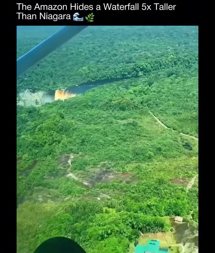 アマゾンの奥地に隠された滝、ついに発見か！？ 未知なる秘境に騒然