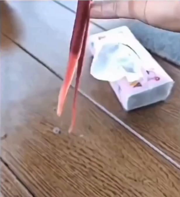 紐形動物のヤバい攻撃方法が判明！マジかよ…