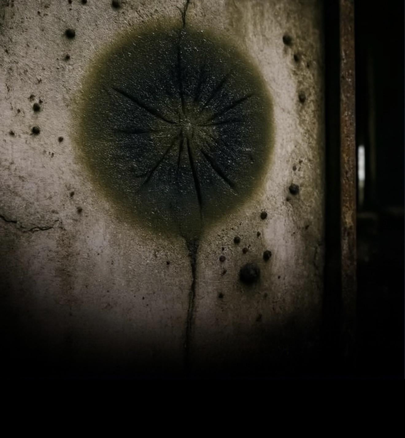 チェルノブイリの黒カビ、放射能をエサに進化！マジかよ！？