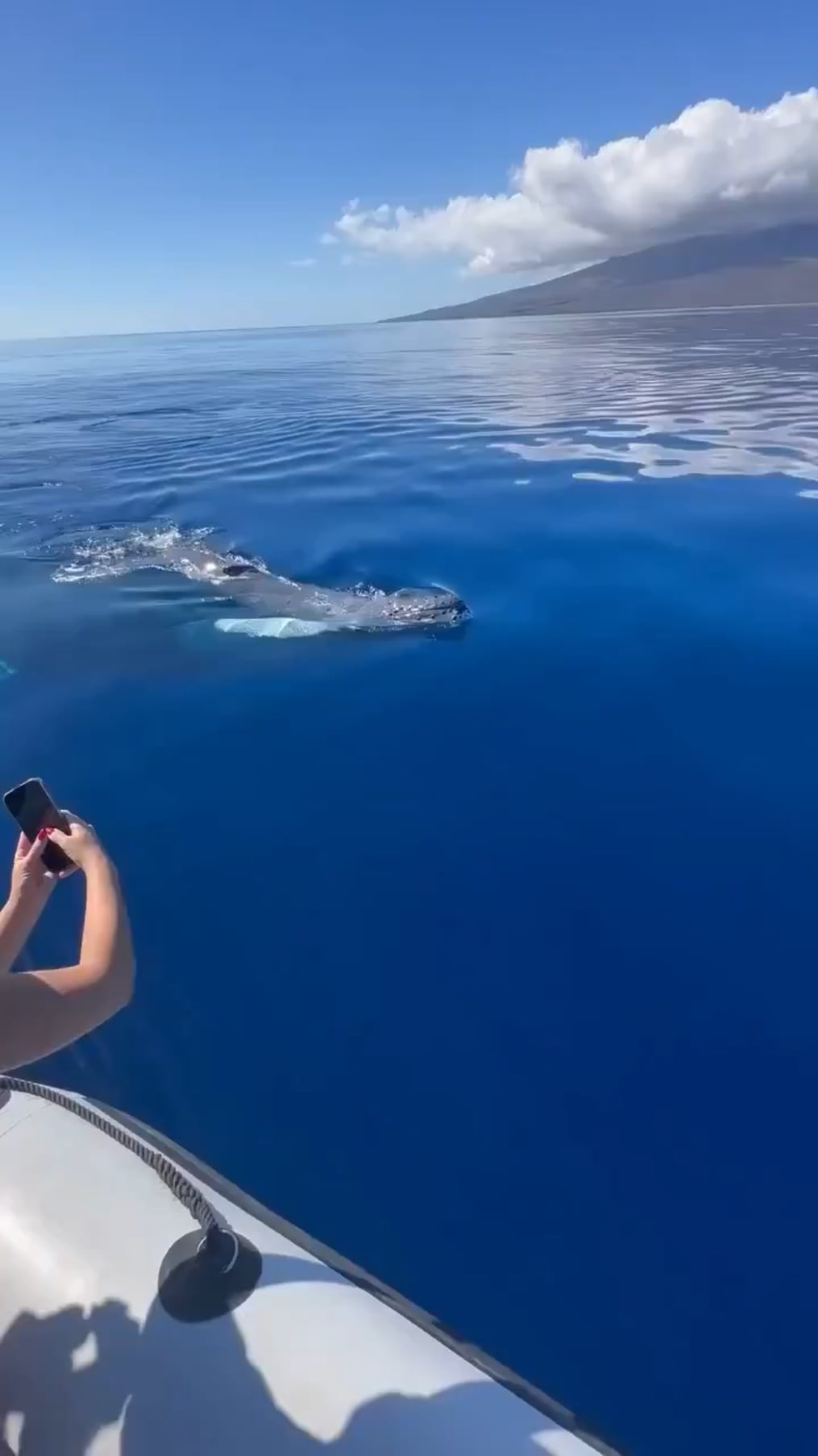 【感動】海外で起きた奇跡の瞬間がヤバすぎると話題に