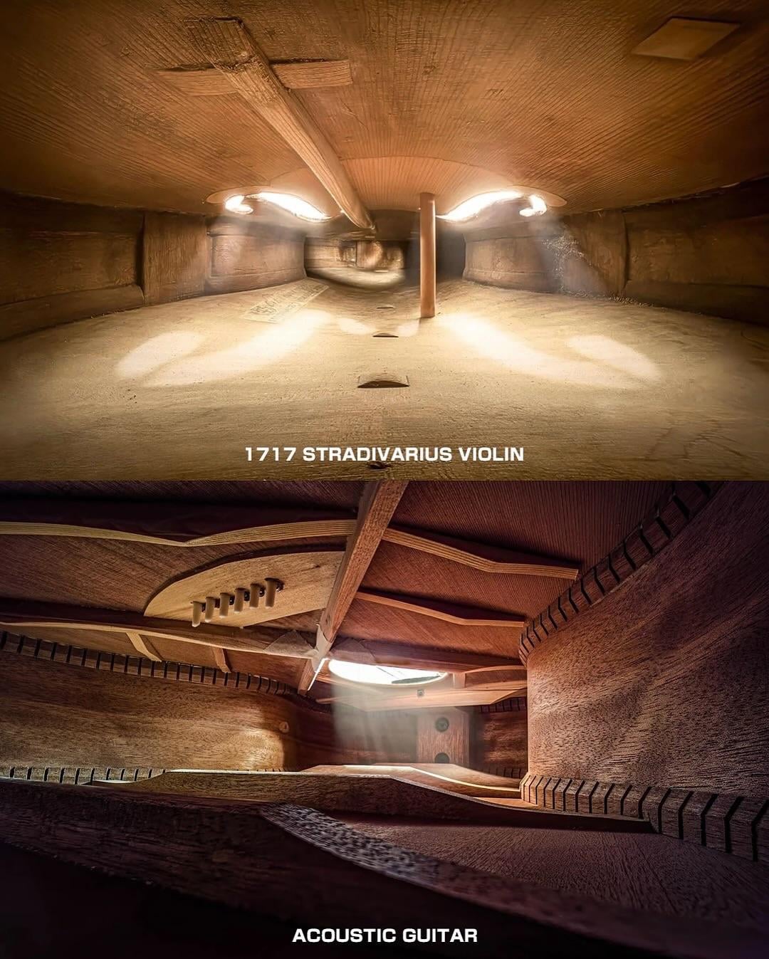 【驚愕】楽器内部に広がる異世界！豪チェリストが内視鏡で撮影した結果ｗｗｗ