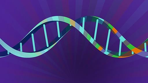 【衝撃】人類99.9%同じ遺伝子だった…たった0.1%の違いで見た目も文化も激変！