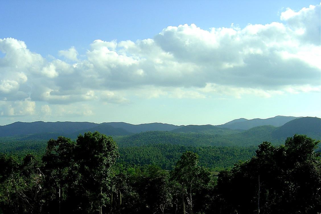 【衝撃】17世紀、イスラム聖人がメッカ巡礼帰りにコーヒー豆をヒゲに隠してインドに持ち込んだ結果…