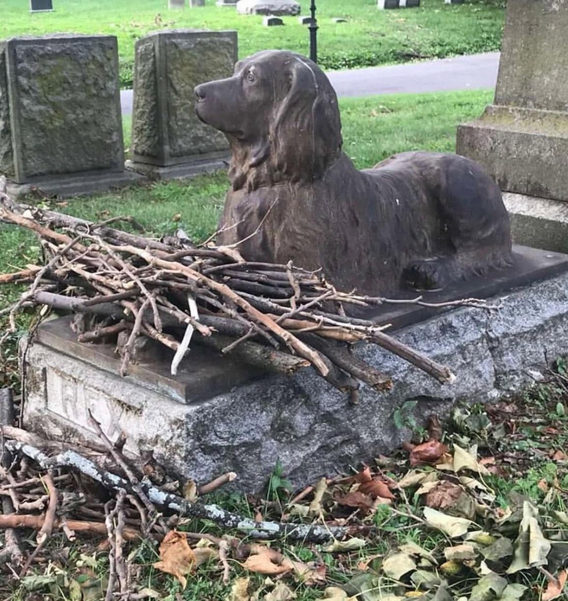 海外で犬のお墓に花じゃなくて棒を供えるのが話題 → なぜ？