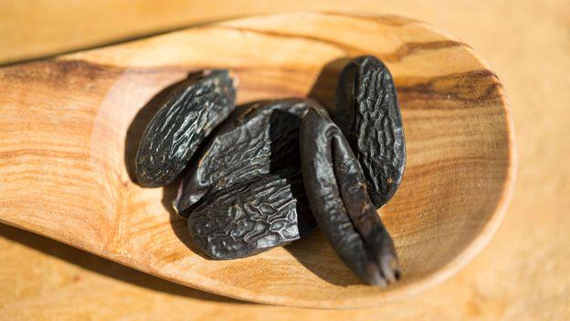 米で禁止のトンカ豆、美味すぎて闇ルートで入手するシェフ続出！